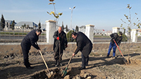 Сотрудники Гянджинского автомобильного завода провели акцию посадки деревьев.